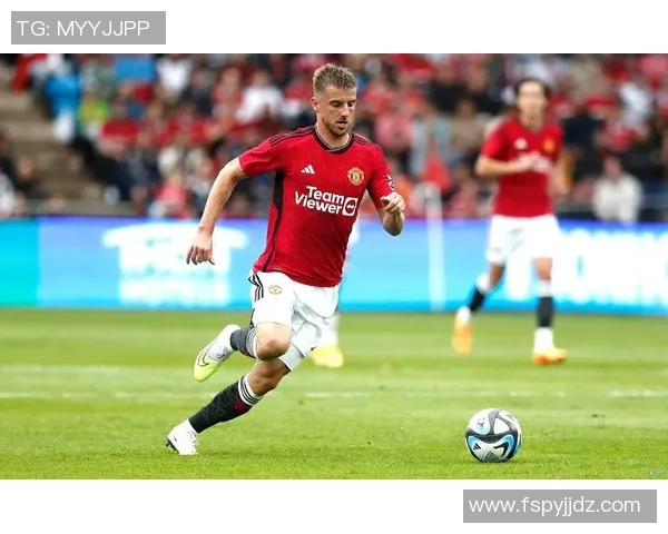 曼联17号足球明星的辉煌历程与未来展望解析